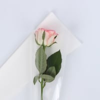 ابيض