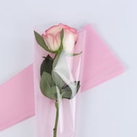 وردي فاتح (فوشي)