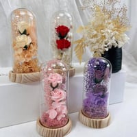 هداية ورد عشوائي