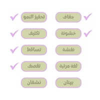 كيرل ميكر كاميل روز لتحديد وتثبيت لفة الكيرلي