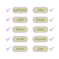 مجموعة نوت يور ماذر الكاملة للشعر الويفي