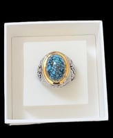 فيروز نيشابوري شجري