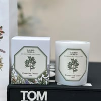 شموع كارير فريز