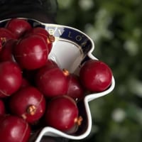 صحن بولغري متعرج