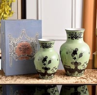 فازة جينوري