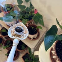 مبخرة القلب