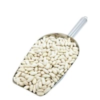 فاصوليا بيضاء