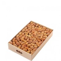 سكري القصيم مفتل