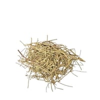 عشبة العلندا