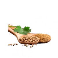 كزبرة ( حب / مطحون )