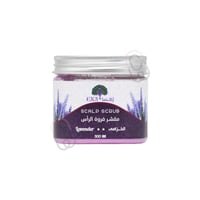 إكسا مقشر فروة الرأس الخزامى 300مل