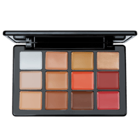 بولفير لوحة كريم الوجه متعددة الوظائف FP12