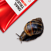 مجموعة الحلزون من سوم باي مي