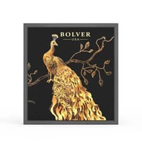 بولفير ظل عيون 9 لون E04