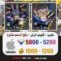 حساب غارب + كايدو الرنر + بكج الدعم مفتوح + 5000 ج...