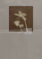 رسالة اعتراف - كل الطرق بي أدت اليك