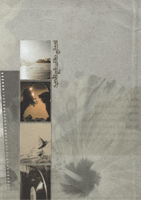 رسالة -اليوم العالمي للصداقة