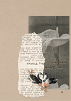 كتاب العام الجديد - من أنثى إلى أنثى