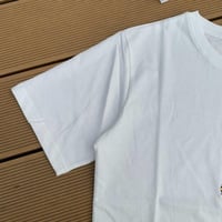 تيشيرت بولو