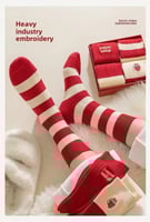 بوكس الشتاء