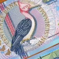 سورينام فئة 5 جولدن أنسر