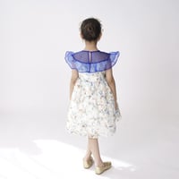 فستان زهرات النجوم