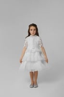 فستان بقطعة دانتيل منفصلة و طبقات من التل