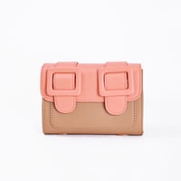 شنطة اللونين