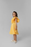 فستان بكشكشه طولية وأكمام مزمومة كبيرة