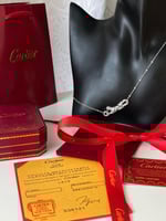 سلسال شكل النمر من كارتير مع الملحقات