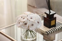 راننكولس أبيض | ملمس طبيعي