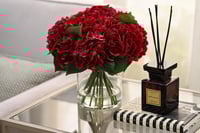 هدرنجا أحمر