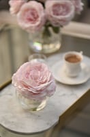 بيونيا وردي فاتح | ملمس طبيعي