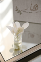 فازة ورد ابيض ميني