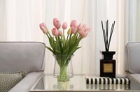 فازة توليب وردي