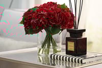 هدرنجا أحمر