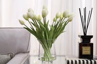 فازة توليب ابيض