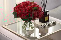 هدرنجا أحمر