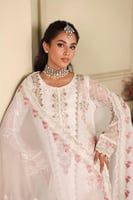 مجموعة الرفاهية الهندية