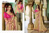 الوان تحتفل بالحياة