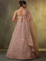 عاج يلامس ورد خجول