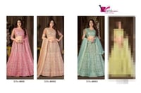 ألوان السحر الملكي