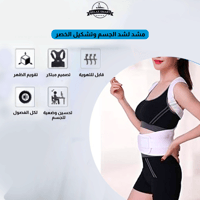 حزام الظهر كامل رويال سابورت