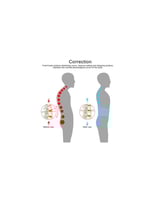 حزام دعم الظهر الهوائي للقطنية
