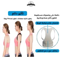 حزام الظهر كامل رويال سابورت