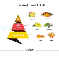 عطر البرنس كلاسيك - 100 مل