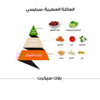 عطر بلاك سيكرت كلاسيك - 15 مل