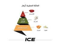 دهن آيس اكسير - 15 مل