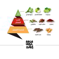 عطر نجلاند - 50 مل