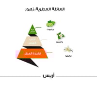 عطر أريس كلاسيك - 100 مل